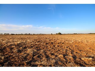 Garfield, County, Oklahoma farmland - LAND AUCTION - 160+/- ACRES OFFERED IN 2 TRACTS IN GARFIELD COUNTY, OKLAHOMA